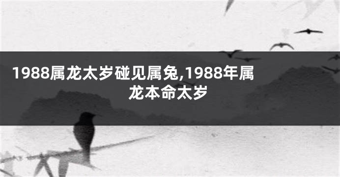 1988属龙太岁碰见属兔,1988年属龙本命太岁