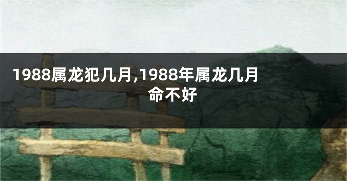 1988属龙犯几月,1988年属龙几月命不好