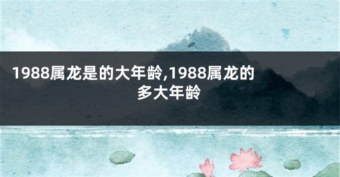 1988属龙是的大年龄,1988属龙的多大年龄