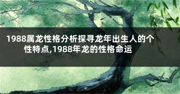 1988属龙性格分析探寻龙年出生人的个性特点,1988年龙的性格命运