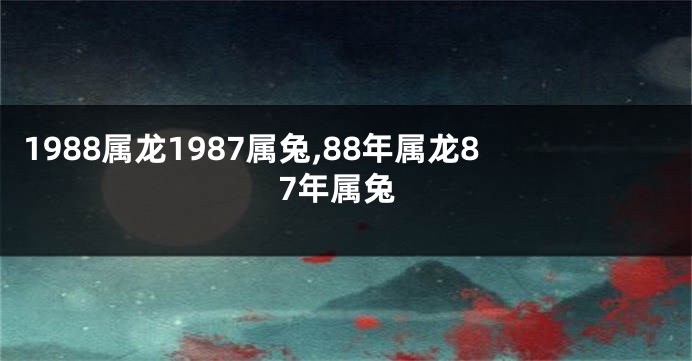 1988属龙1987属兔,88年属龙87年属兔