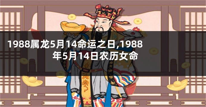 1988属龙5月14命运之日,1988年5月14日农历女命