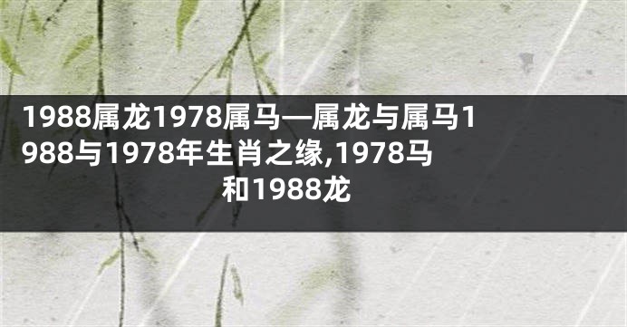 1988属龙1978属马—属龙与属马1988与1978年生肖之缘,1978马和1988龙