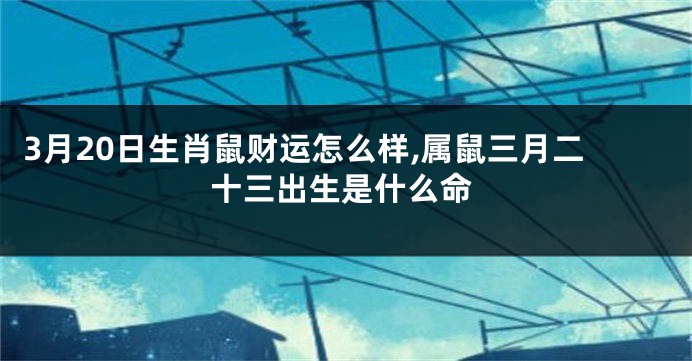 3月20日生肖鼠财运怎么样,属鼠三月二十三出生是什么命