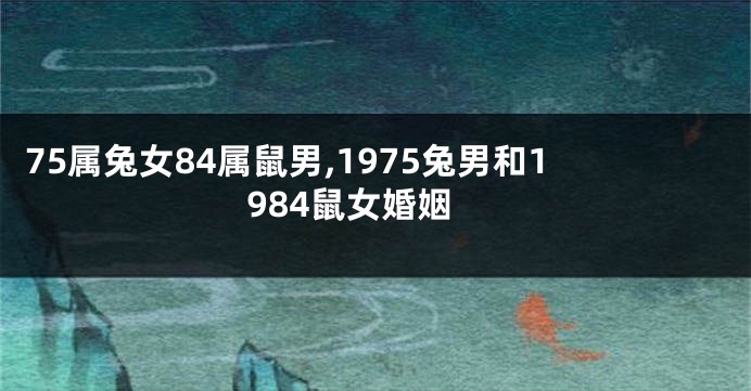 75属兔女84属鼠男,1975兔男和1984鼠女婚姻