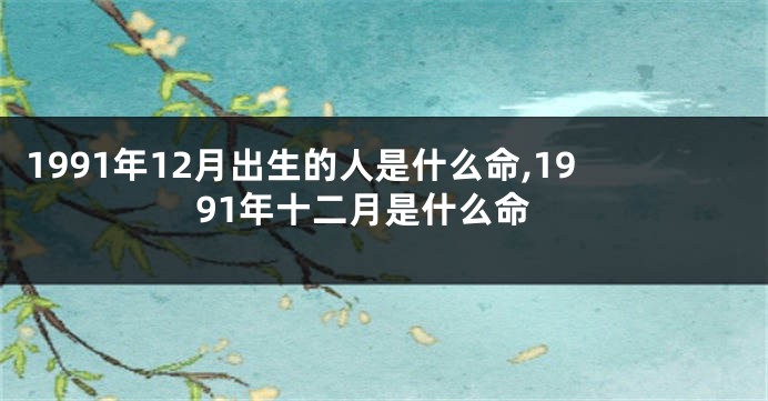 1991年12月出生的人是什么命,1991年十二月是什么命