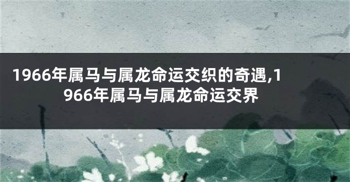 1966年属马与属龙命运交织的奇遇,1966年属马与属龙命运交界