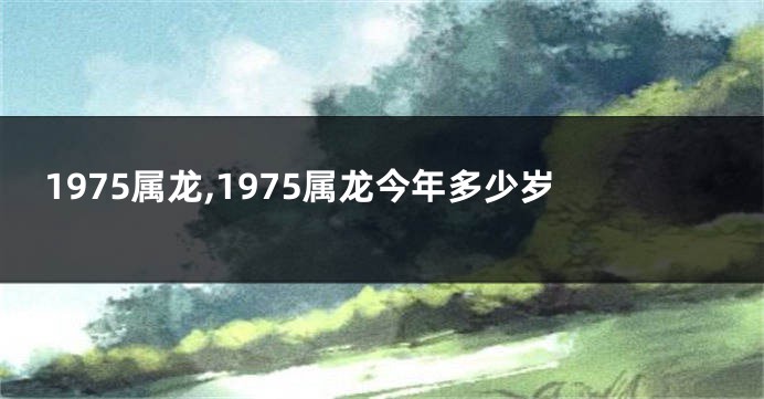 1975属龙,1975属龙今年多少岁