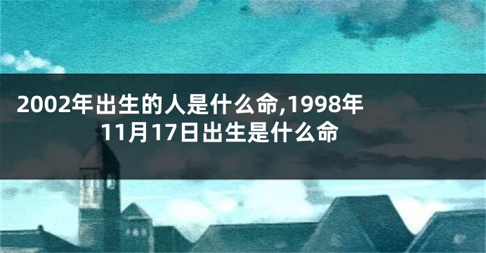 2002年出生的人是什么命,1998年11月17日出生是什么命