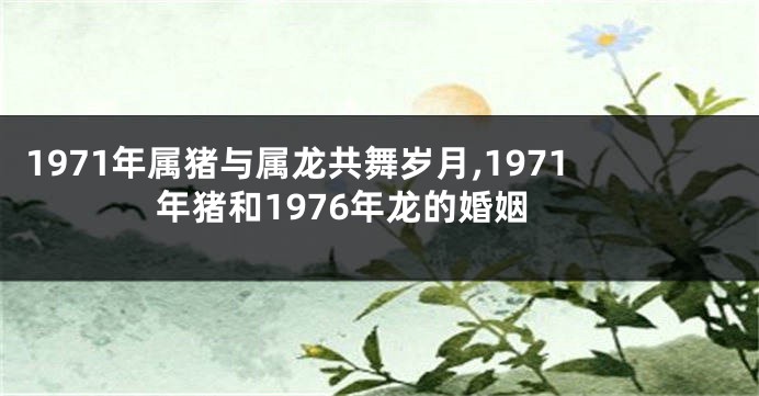 1971年属猪与属龙共舞岁月,1971年猪和1976年龙的婚姻