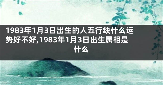 1983年1月3日出生的人五行缺什么运势好不好,1983年1月3日出生属相是什么