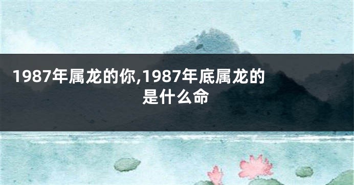 1987年属龙的你,1987年底属龙的是什么命