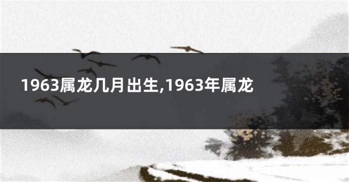 1963属龙几月出生,1963年属龙