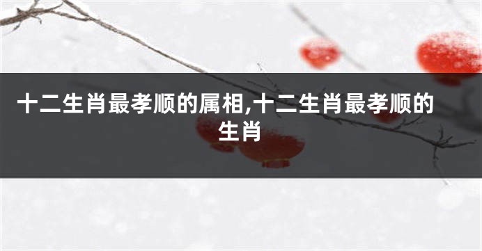 十二生肖最孝顺的属相,十二生肖最孝顺的生肖