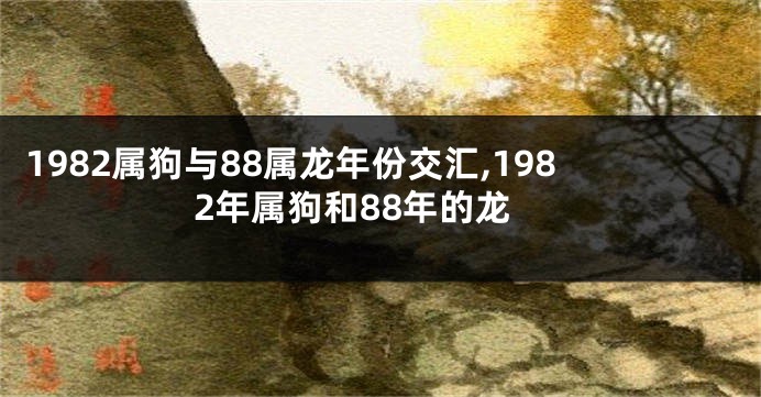 1982属狗与88属龙年份交汇,1982年属狗和88年的龙