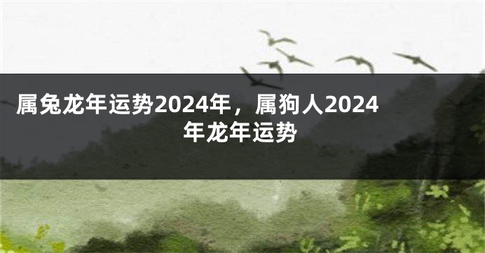 属兔龙年运势2024年，属狗人2024年龙年运势