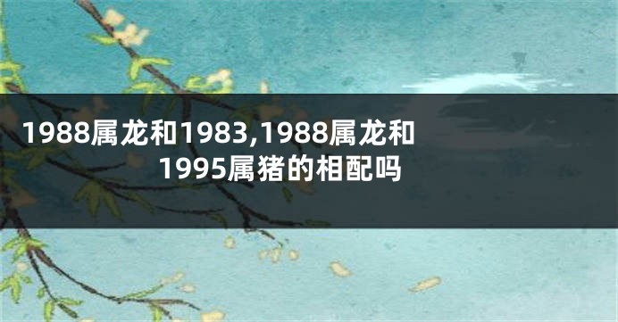 1988属龙和1983,1988属龙和1995属猪的相配吗