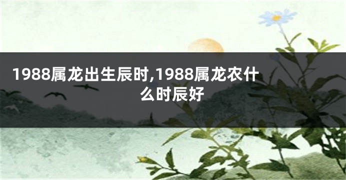 1988属龙出生辰时,1988属龙农什么时辰好