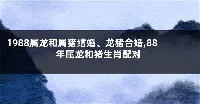 1988属龙和属猪结婚、龙猪合婚,88年属龙和猪生肖配对