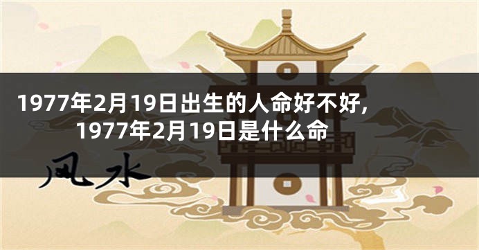 1977年2月19日出生的人命好不好,1977年2月19日是什么命