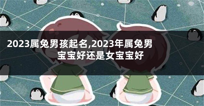 2023属兔男孩起名,2023年属兔男宝宝好还是女宝宝好