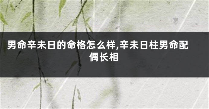 男命辛未日的命格怎么样,辛未日柱男命配偶长相