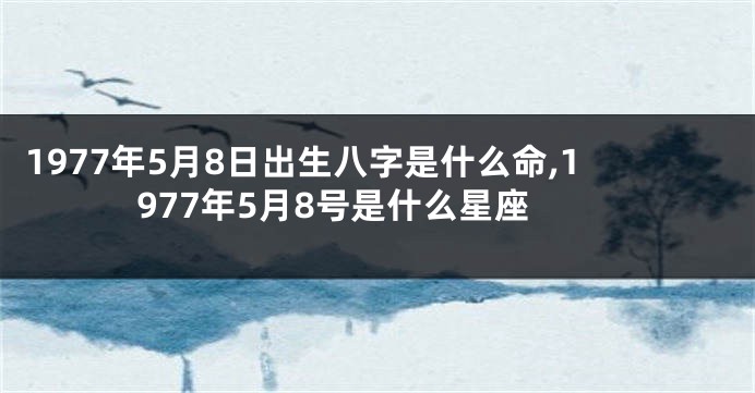 1977年5月8日出生八字是什么命,1977年5月8号是什么星座