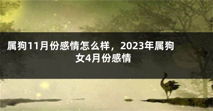 属狗11月份感情怎么样，2023年属狗女4月份感情