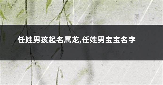 任姓男孩起名属龙,任姓男宝宝名字