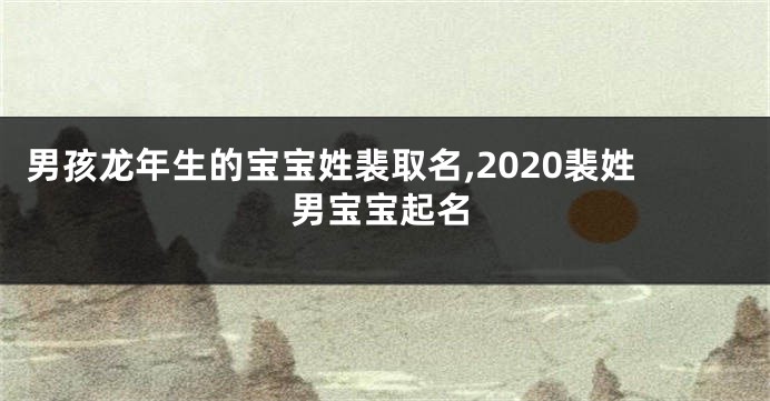 男孩龙年生的宝宝姓裴取名,2020裴姓男宝宝起名