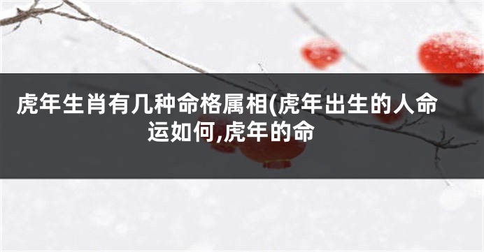 虎年生肖有几种命格属相(虎年出生的人命运如何,虎年的命