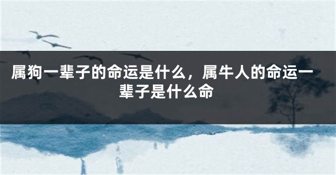 属狗一辈子的命运是什么，属牛人的命运一辈子是什么命