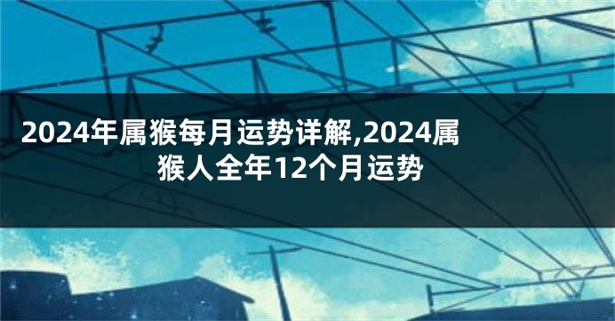 2024年属猴每月运势详解,2024属猴人全年12个月运势