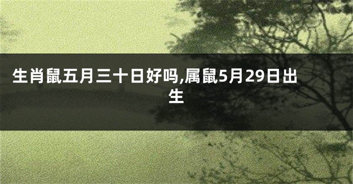 生肖鼠五月三十日好吗,属鼠5月29日出生