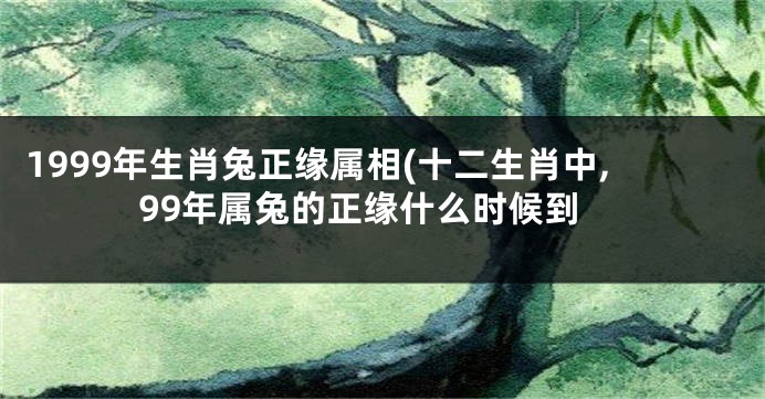 1999年生肖兔正缘属相(十二生肖中,99年属兔的正缘什么时候到