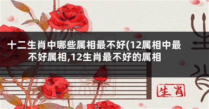 十二生肖中哪些属相最不好(12属相中最不好属相,12生肖最不好的属相