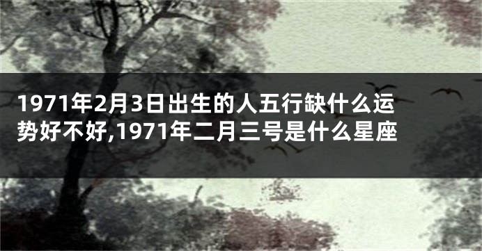 1971年2月3日出生的人五行缺什么运势好不好,1971年二月三号是什么星座