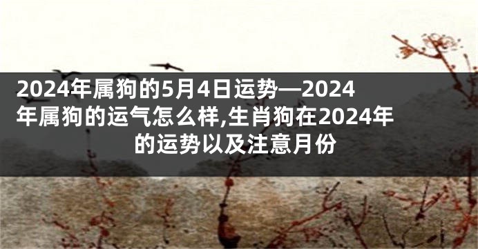 2024年属狗的5月4日运势—2024年属狗的运气怎么样,生肖狗在2024年的运势以及注意月份