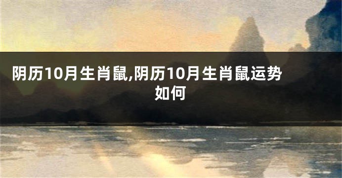 阴历10月生肖鼠,阴历10月生肖鼠运势如何