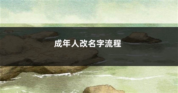 成年人改名字流程