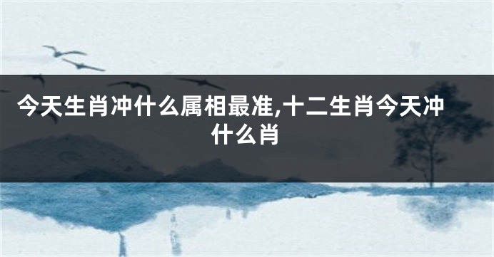 今天生肖冲什么属相最准,十二生肖今天冲什么肖