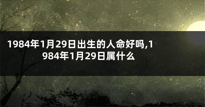 1984年1月29日出生的人命好吗,1984年1月29日属什么