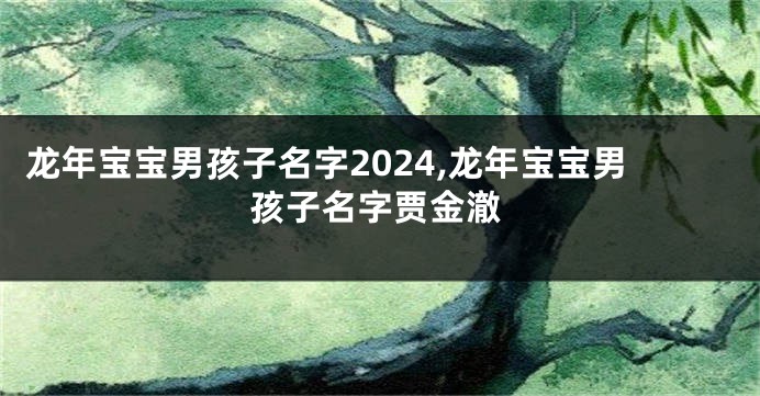 龙年宝宝男孩子名字2024,龙年宝宝男孩子名字贾金澈