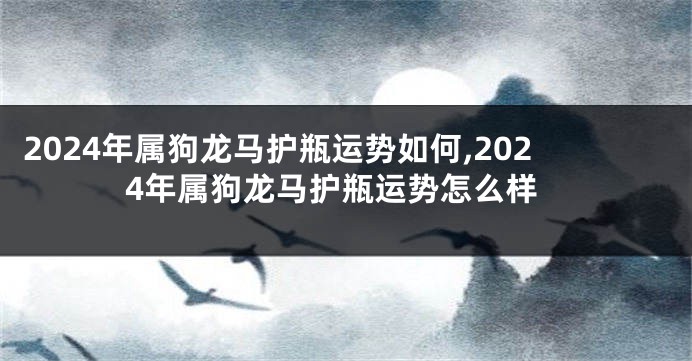 2024年属狗龙马护瓶运势如何,2024年属狗龙马护瓶运势怎么样