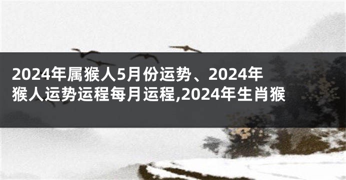 2024年属猴人5月份运势、2024年猴人运势运程每月运程,2024年生肖猴