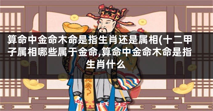 算命中金命木命是指生肖还是属相(十二甲子属相哪些属于金命,算命中金命木命是指生肖什么