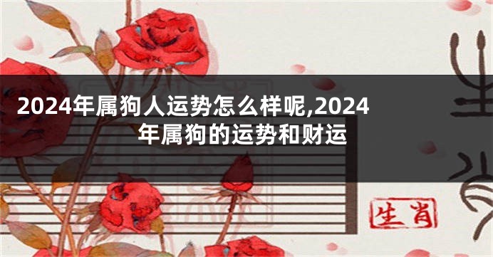 2024年属狗人运势怎么样呢,2024年属狗的运势和财运