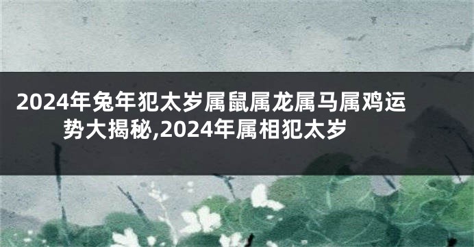 2024年兔年犯太岁属鼠属龙属马属鸡运势大揭秘,2024年属相犯太岁