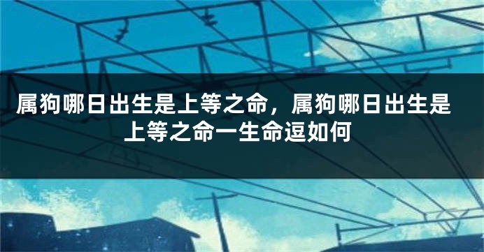 属狗哪日出生是上等之命，属狗哪日出生是上等之命一生命逗如何