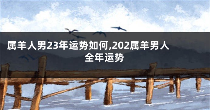 属羊人男23年运势如何,202属羊男人全年运势